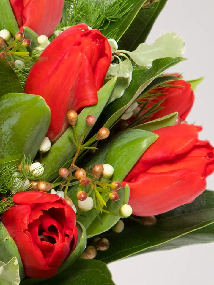 Dettagli di un bouquet di tulipani rossi
